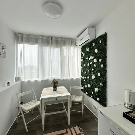 Light Victoriei Apartment