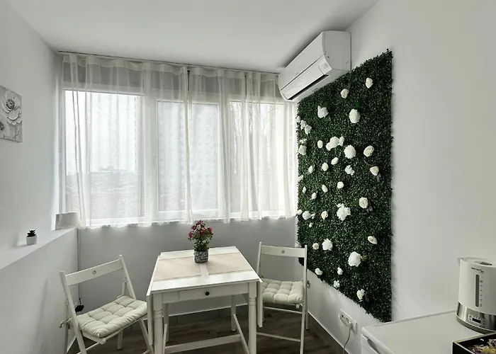 Light Victoriei Apartmán